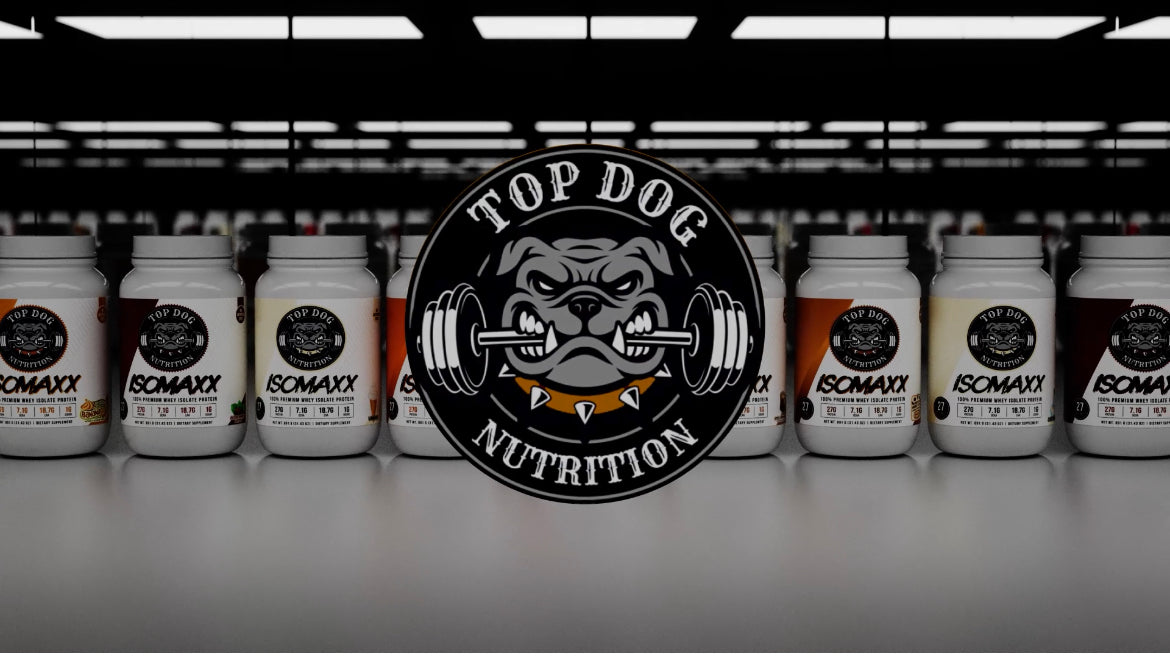 Top 2025 dog nutrition